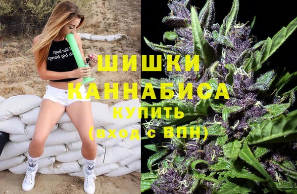 spice Вяземский